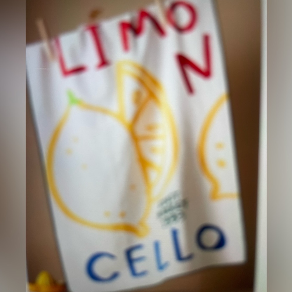 ❤️ ANTHROPOLOGIE JORDAN NICKSON LIMONCELLO TEA DISH TOWEL NEW